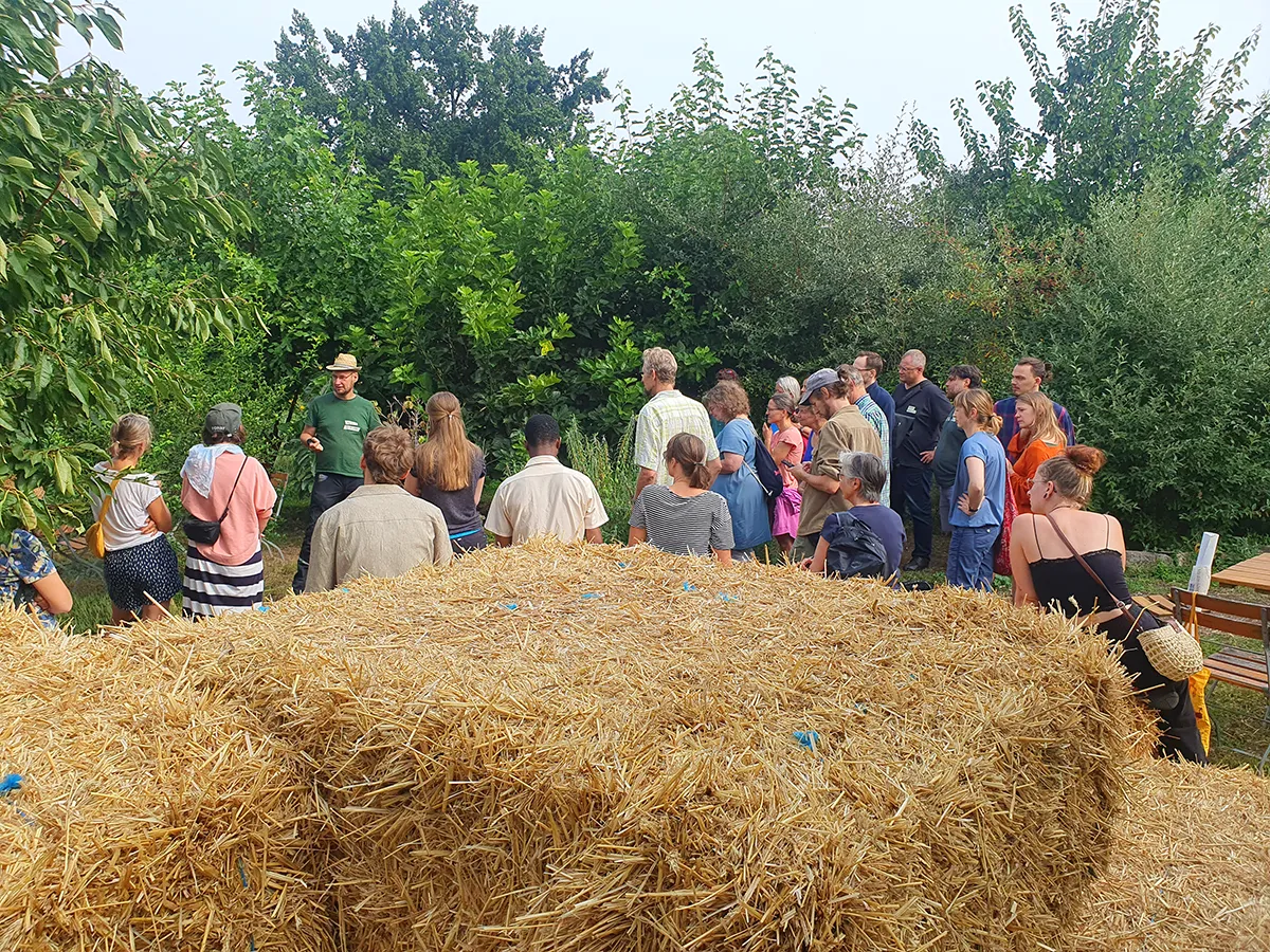 Sommercamp anstiftung