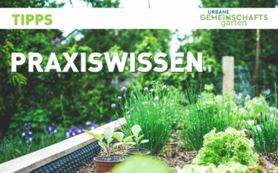 TIPP: Praxiswissen aus den Gärten