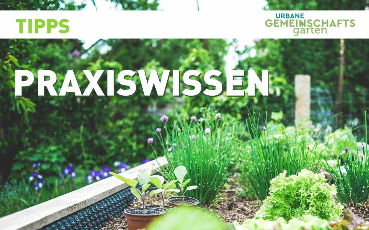 TIPP PRAXISWISSEN