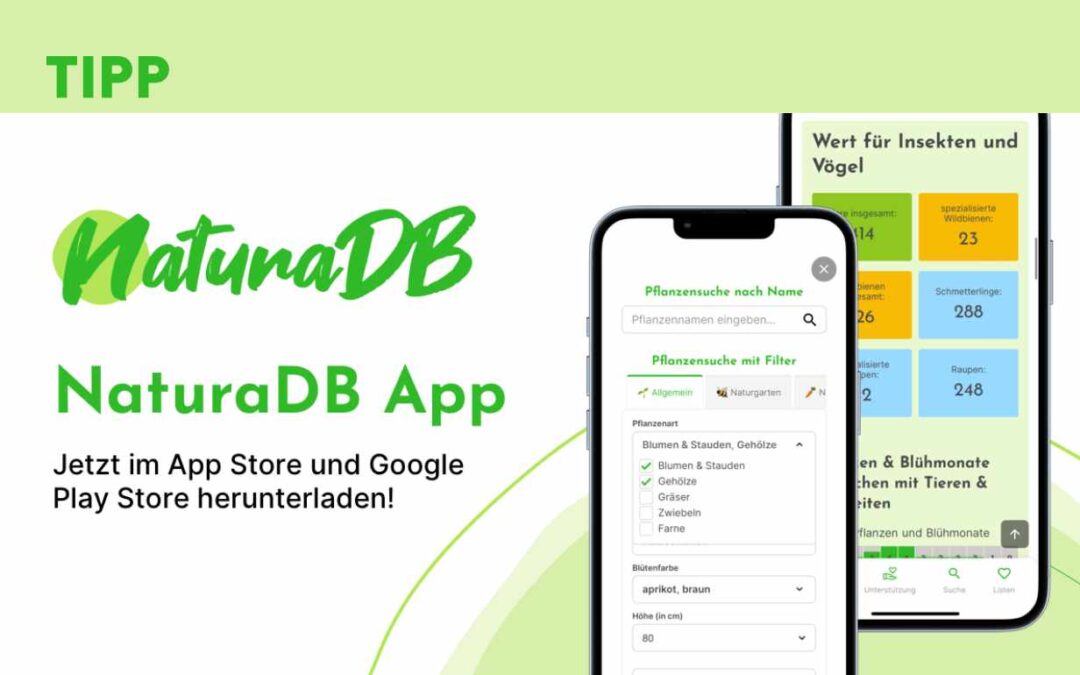 TIPP: Natura DB – Die App für ökologisches Gärtnern mit Sinn