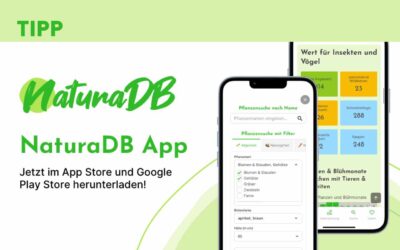 TIPP: Natura DB – Die App für ökologisches Gärtnern mit Sinn