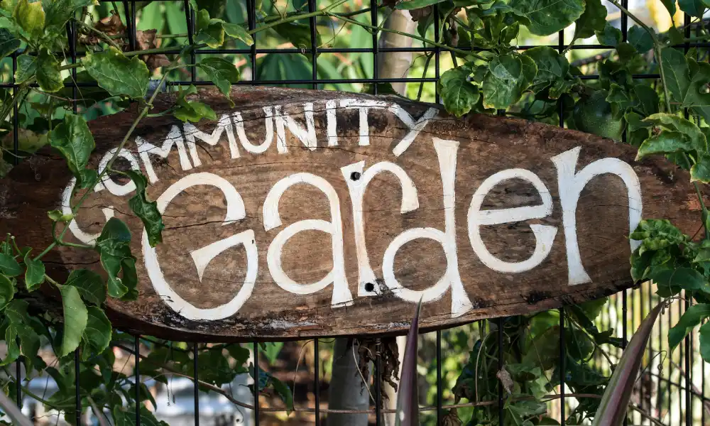 david-clode-eL4ADAsiOR8-unsplash Willkommen - Community Garden