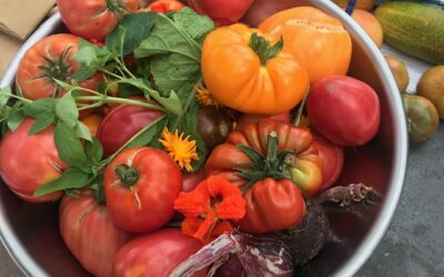 ABGESAGT *** Einladung des Ernährungsrats – Do, 18.09.2025