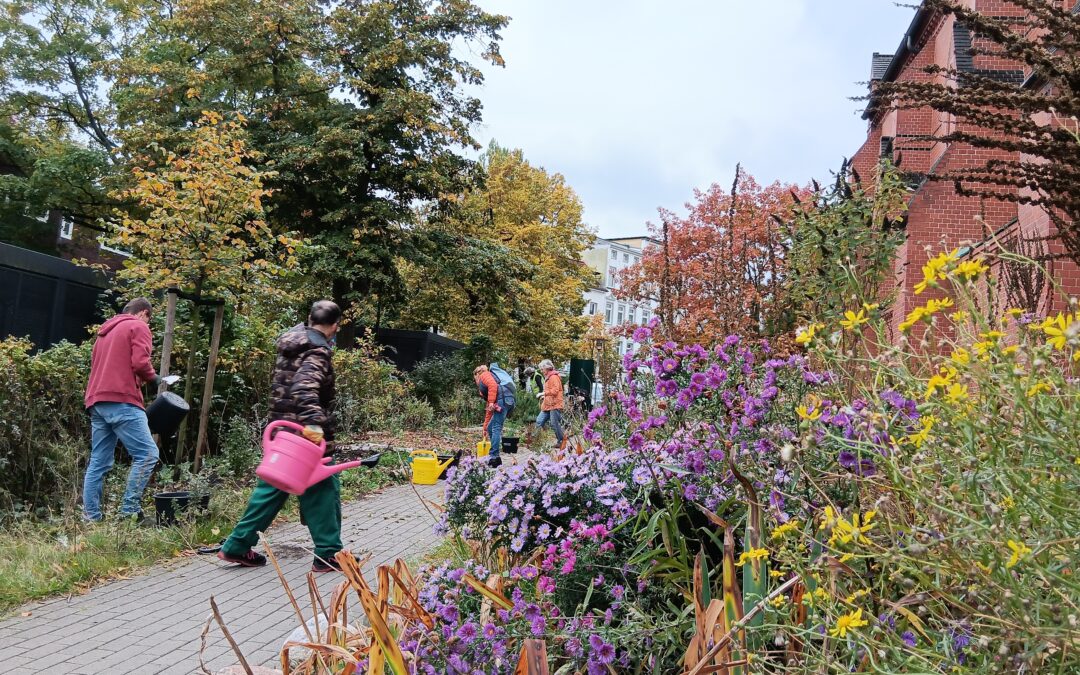 Herbstliche Pflanzaktionen bei GRÜN(T)RAUM Heimfeld