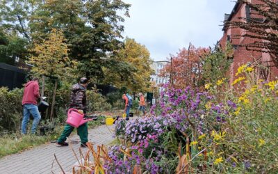Herbstliche Pflanzaktionen bei GRÜN(T)RAUM Heimfeld