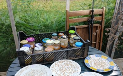 Saatgutfest der Hamburger Gärten am Sa, 28.02.2026