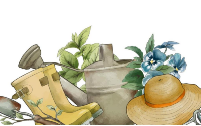 Workshop-Programm 2026 im Luthergarten Bahrenfeld