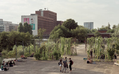 Permakultur-Workshop bei Parks am So, 14.06.2026